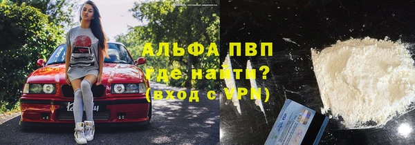 амф Пестово