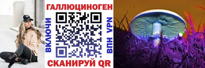 где купить наркоту  hydra маркетплейс  Псилоцибиновые грибы Psilocybine cubensis  Кондопога 